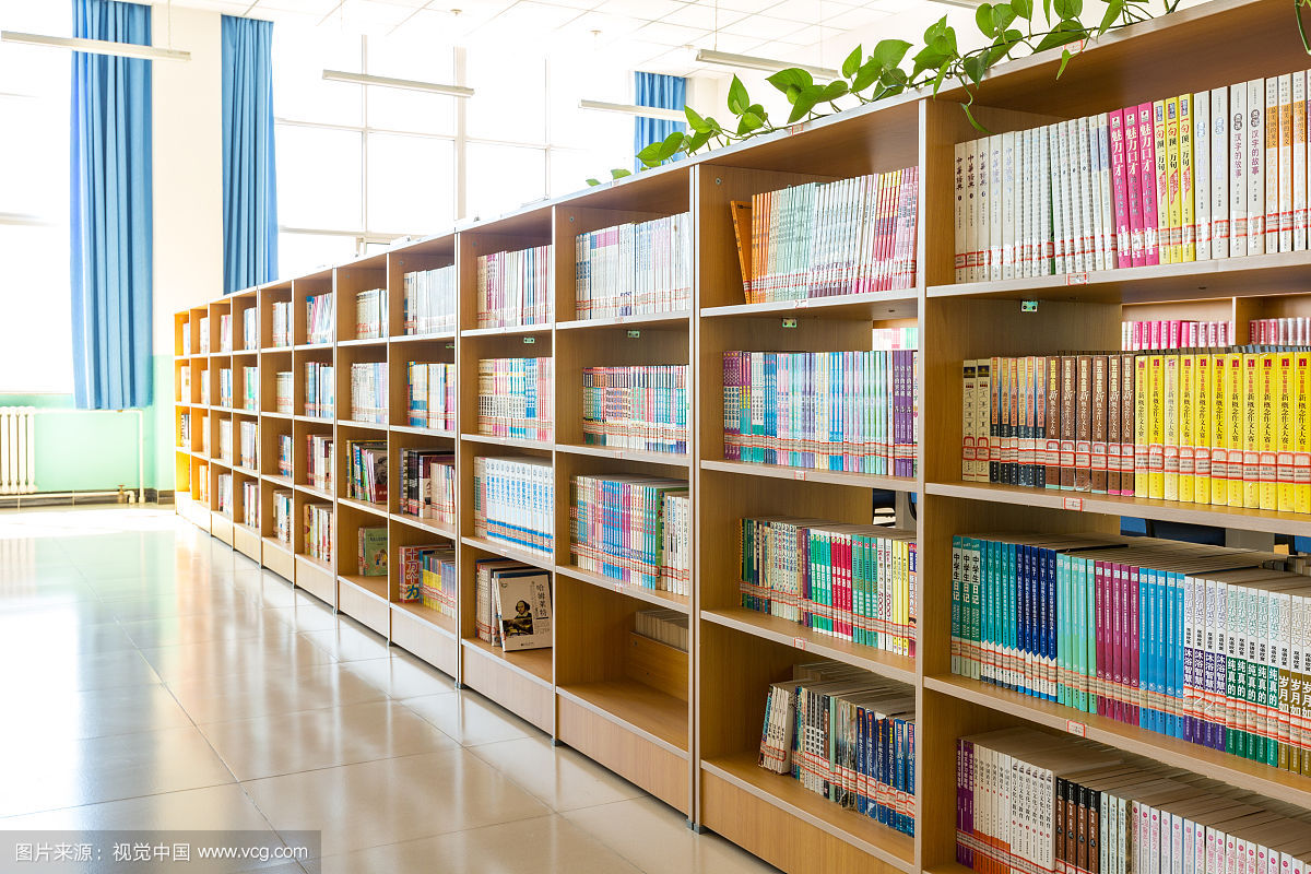 许昌市农村义务教育薄弱学校改造计划图书采购项目