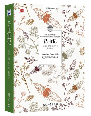 儿童图书批发：点亮孩子的智慧之光